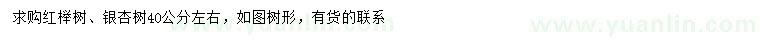 求购40公分左右红榉树、银杏树