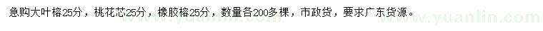 求购大叶榕、桃花芯、橡胶榕