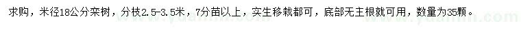 求购米径18公分栾树