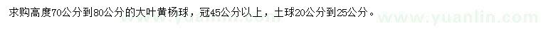 求购高70-80公分大叶黄杨球