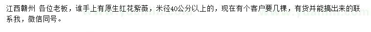 求购米径40公分以上红花紫薇