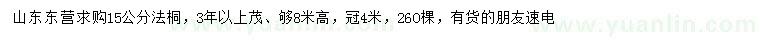 求购15公分法桐