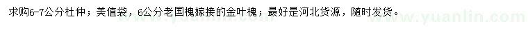 求购6-7公分杜仲、6公分金叶槐