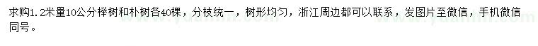 求购1.2米量10公分榉树、朴树