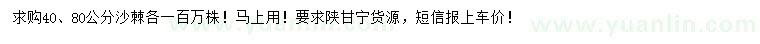 求购40、80公分沙棘