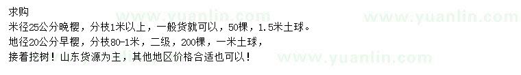 求购20公分早樱、25公分晚樱