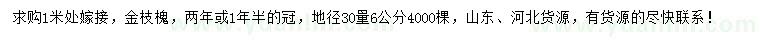 求购地径30量6公分金枝槐