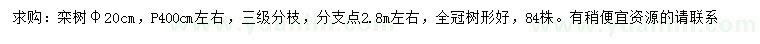 求购米径20公分栾树