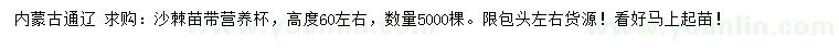 求购高度60公分左右沙棘