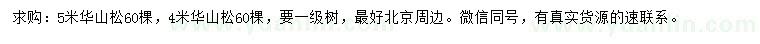 求购4、5米华山松