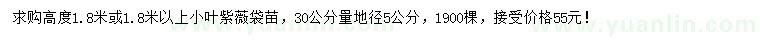 求购高1.8米或1.8米以上小叶紫薇