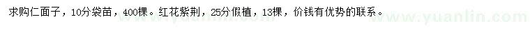 求购10公分仁面子、25公分红花紫荆