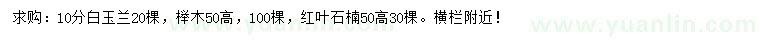 求购白玉兰、榉木、红叶石楠