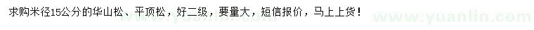 求购米径15公分华山松、平顶松