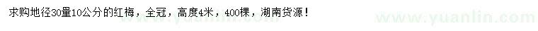 求购地径30量10公分红梅