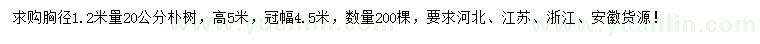 求购胸径1.2米量20公分朴树