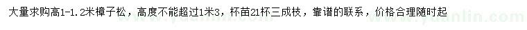 求购高1-1.2米樟子松