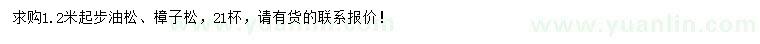 求购1.2米起步樟子松、油松
