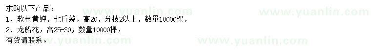 求购高20公分黄婵、25-30公分龙船花