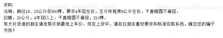 求购胸径15、18公分法桐、20公分白蜡