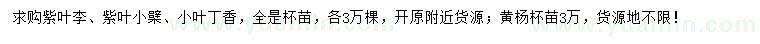 求购紫叶李、紫叶小檗、小叶丁香