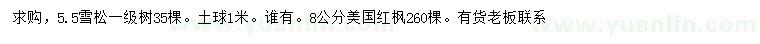 求购5.5公分雪松、8公分美国红枫