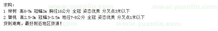 求购胸径16公分榉树、地径7-8公分碧桃