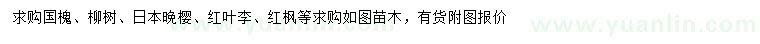 求购国槐、柳树、日本晚樱等