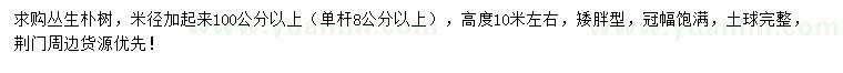 求购高10米左右丛生朴树