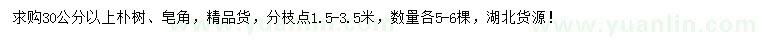 求购30公分朴树、皂角