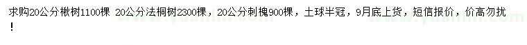 求购楸树、法桐、刺槐