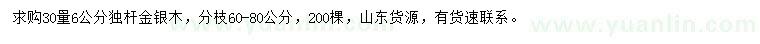 求购30量6公分金银木