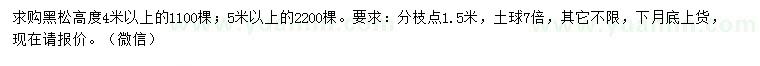 求购高4、5米以上黑松