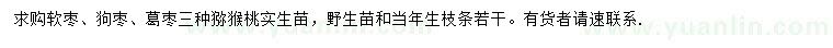 求购软枣、狗枣、葛枣等