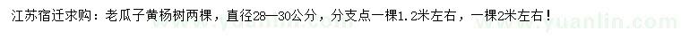 求购直径28-30公分老瓜子黄杨树