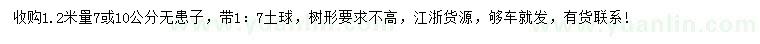 求购1.2米量7或10公分无患子