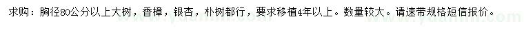 求购香樟、银杏、朴树