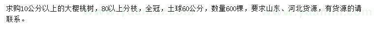 求购10公分以上大樱桃树