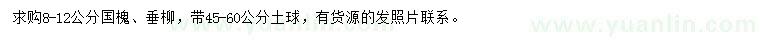 求购8-12公分国槐、垂柳