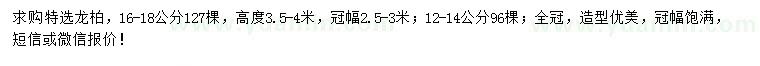 求购12-14、16-18公分龙柏