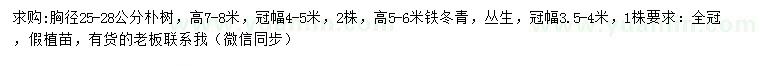 求购胸径25-28公分朴树、高5-6米铁冬青