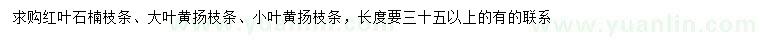 求购红叶石楠枝条、大叶黄扬枝条、小叶黄扬枝条