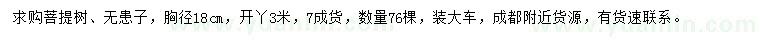 求购胸径18公分菩提树、无患子