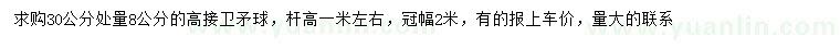 求购30公分处量8公分高接卫矛球