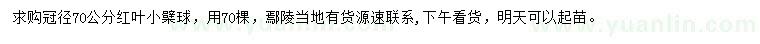 求购冠径70公分红叶小檗球