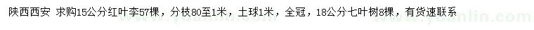 求购15公分红叶李、18公分七叶树