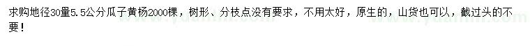 求购地径30量5.5公分瓜子黄杨