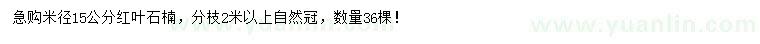 求购米径15公分红叶石楠