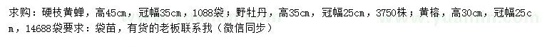 求购硬枝黄蝉、野牡丹、黄榕