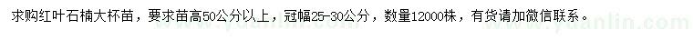 求购高50公分以上红叶石楠